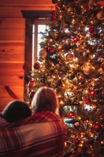 Luxe Indoor Pool Cabin with Mt View - 7