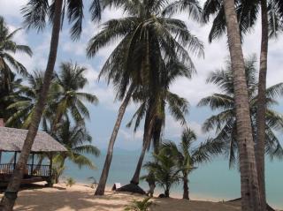 Palm Point Village - Mae Nam - 9