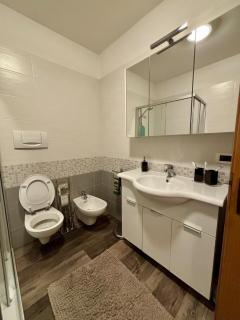 Villa Serena - appartamento a Primiero San Martino di Castrozza - 4