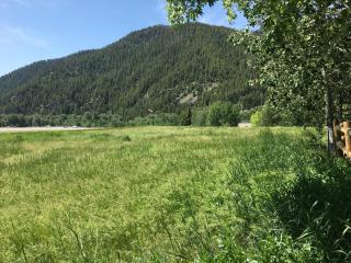 SV118 - Walk to Lifts & Town - Hot Tub & Pool - 3