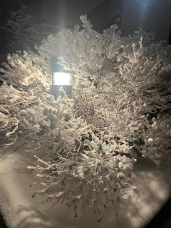 Cozy studio in the center - 8