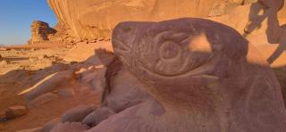 Madonna Rum camp bubbles - 4