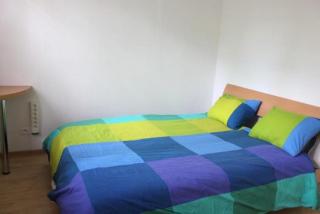 Spacieux 4 pièces centre de mulhouse - Mulhouse - 6