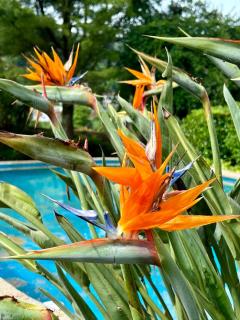 Casa dos Assentos - 9