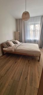 Kamienica 54- Okole - 1