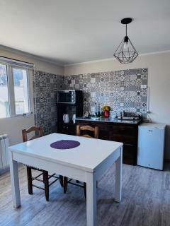 Bruma patagonica - 0