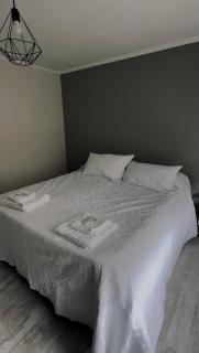 Bruma patagonica - 4