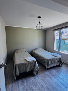 Bruma patagonica - 3