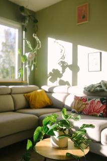 Lovely family house with garden - 5