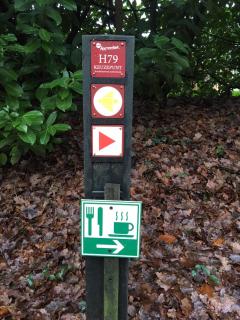 Geräumiges Ferienhaus Mitten Im Wald - 7