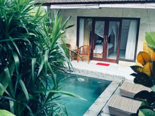 Nia ubud villa - 0