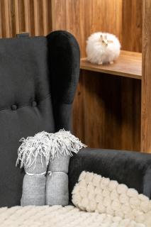 Apartamenty Zakopiańskie - Apartament Diamond SPA - TATRAHOLIDAY - 2