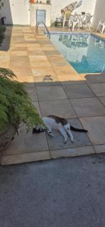 Seu cantinho a dois quarteirões da Praia - 7