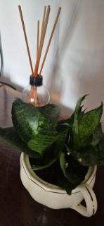 Seu cantinho a dois quarteirões da Praia - 8