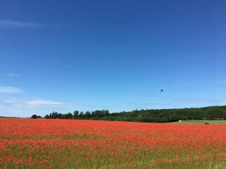 6 person holiday home in Jægerspris-By Traum - 4