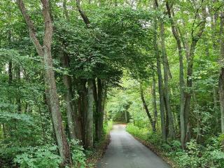 6 person holiday home in Jægerspris-By Traum - 6