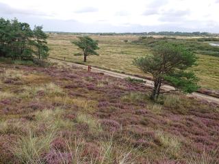 Secluded Log Cabin near Graerup - By Traum Ferienwohnungen - 1