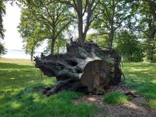 5 person holiday home in Rude-By Traum - 4