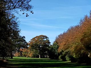 5 person holiday home in Rude-By Traum - 7