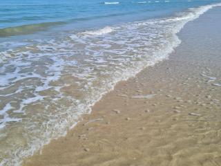 12 person holiday home in Pandrup-By Traum - 8