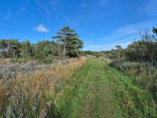 4 person holiday home in Rømø-By Traum - 3