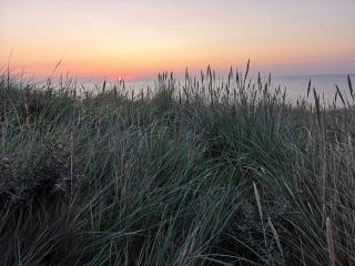 8 person holiday home in Rømø - 7