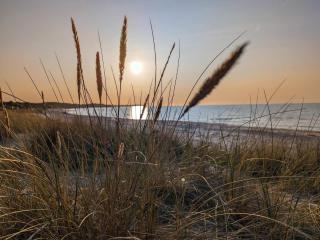 Luxury Retreat in Hornbaek - By Traum Ferienwohnungen - 2