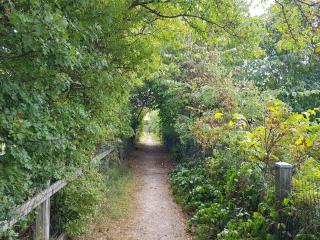 Cozy Retreat in Sonderho - By Traum Ferienwohnungen - 6