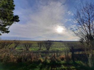 Cozy Retreat in Sonderho - By Traum Ferienwohnungen - 1