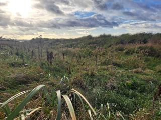 6 person holiday home in Kalundborg-By Traum - 6