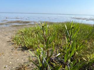 Tranquil Oasis with Pool - By Traum Ferienwohnungen - 3