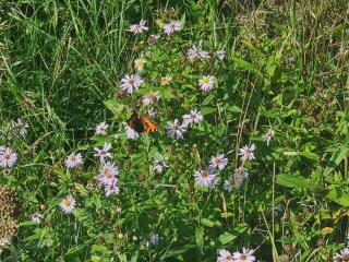 Tranquil Retreat in Toftum - By Traum Ferienwohnungen - 7
