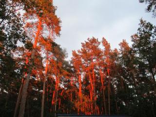 Appartement Mit Garten, Grill Und Terrasse -  - 4