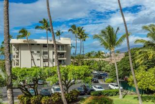 Kihei Akahi D-207 - 7