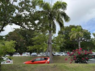 Studio Ti Saphir - 8