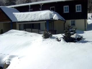 Appartement In Brotterode Mit Eigener Terrasse - 1