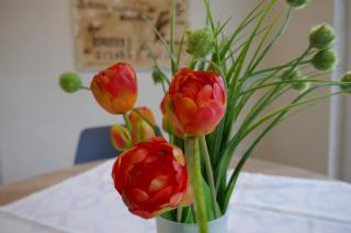 Ober Langengarten - Pittenbach - 5