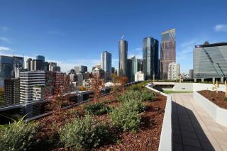 The Elora Retreat on Spencer - 8