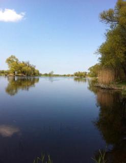 Appartement Mit Garten, Grill Und Terrasse -  - 8