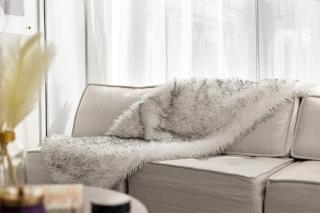 South End Luxe Family Apartment - 7