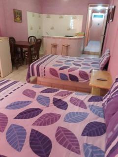 Hotel Diana cazadora - 4