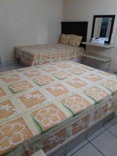 Hotel Diana cazadora - 2