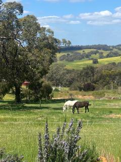 Reset and chill in a spa at Katandra Cottage, - 5