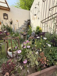 Alojamiento con jardín y asador - 2