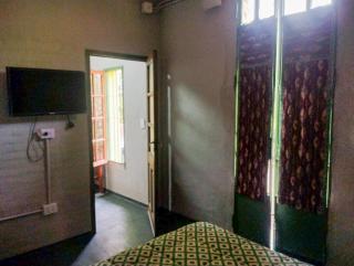 Zelenaiplava dormis - 9