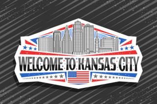 Mid century APT, KING bed + desk - 9