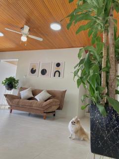 Valle Suites, la mejor zona - 3