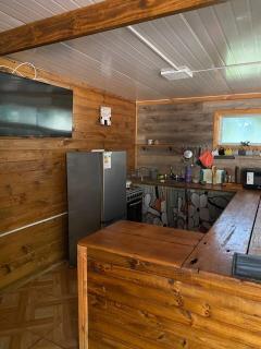 Las palmeras de Colbún - 2