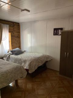 Las palmeras de Colbún - 3