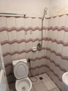 AA Jungle Guesthouse - 5